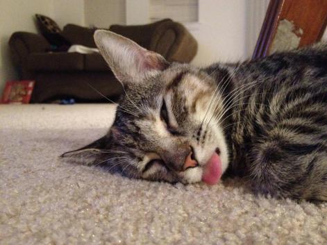 75320196960fddda2fa545c1e8bd4a0f